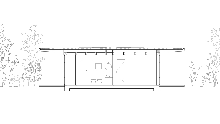 Longitudinal Section